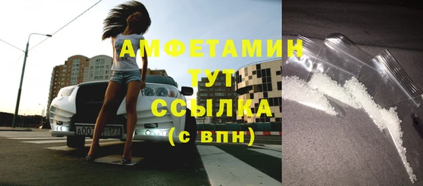 ГАЛЛЮЦИНОГЕННЫЕ ГРИБЫ Корсаков