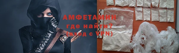 ГАЛЛЮЦИНОГЕННЫЕ ГРИБЫ Корсаков