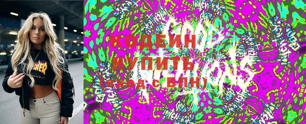 ГАЛЛЮЦИНОГЕННЫЕ ГРИБЫ Корсаков