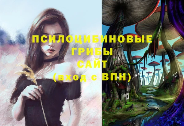 ГАЛЛЮЦИНОГЕННЫЕ ГРИБЫ Корсаков