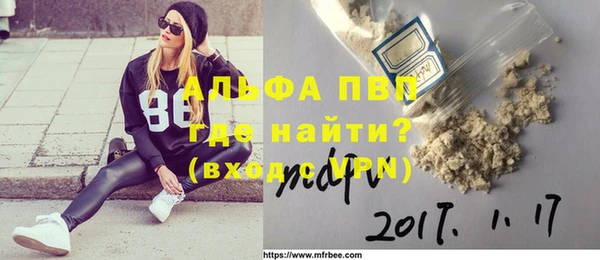 ГАЛЛЮЦИНОГЕННЫЕ ГРИБЫ Корсаков