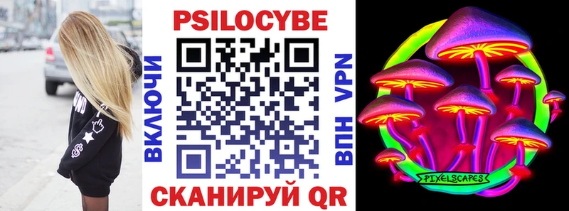 Псилоцибиновые грибы Cubensis  blacksprut сайт  маркетплейс как зайти  Лебедянь 